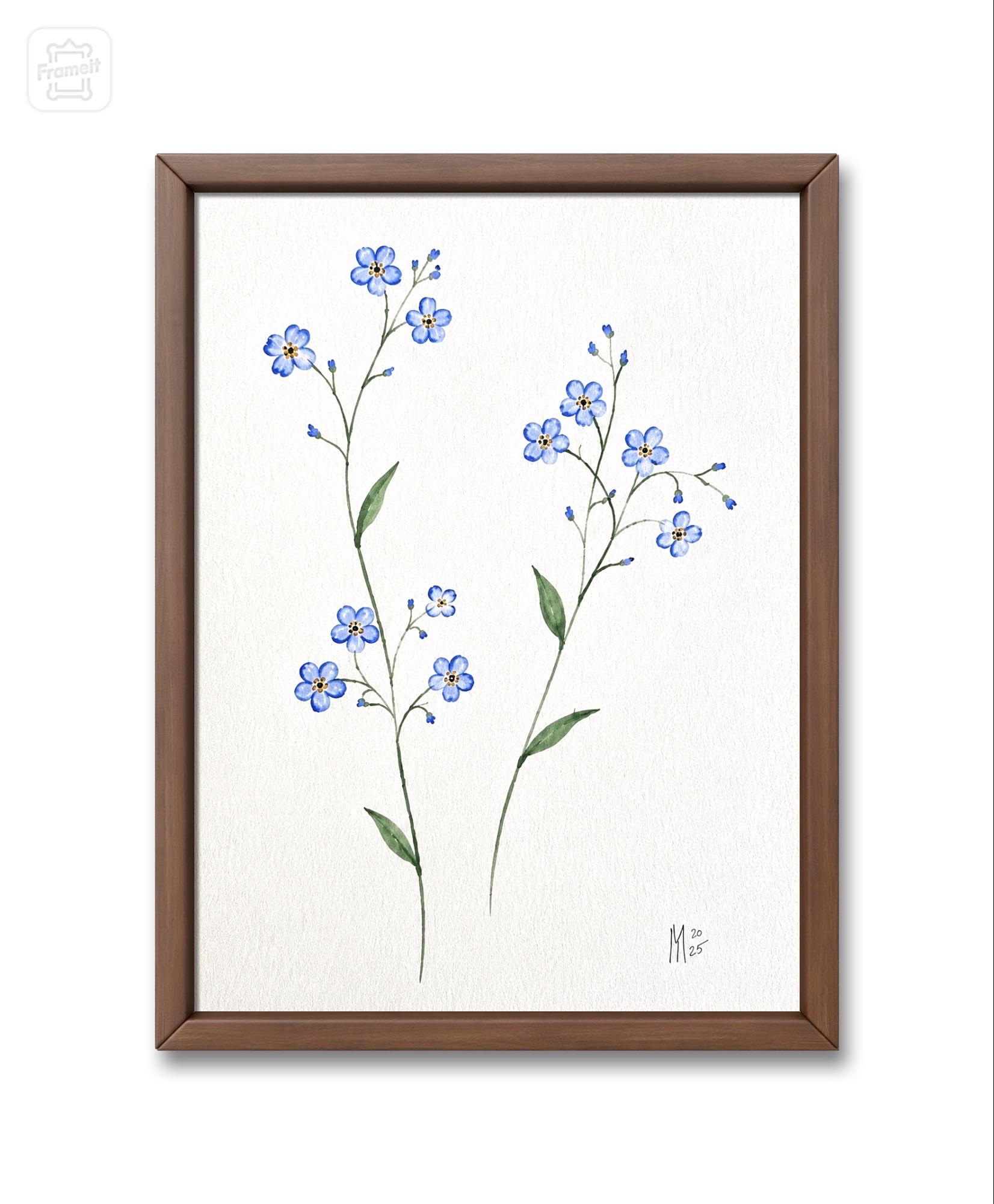 Original Watercolour Forget-me-not Painting: Botanical Floral Wall