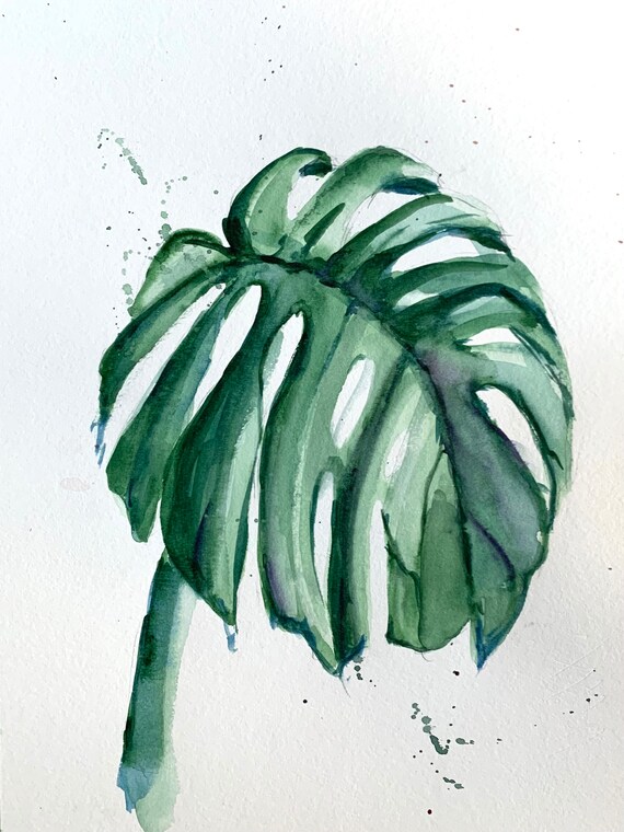 Handbemaltes Original-Aquarell mit Monstera-Blttern (20 x 30 cm) - Etsy  sterreich