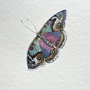 Vlinder origineel schilderij kunst aan de muur Home decor housewarming cadeau aquarel schilderij
