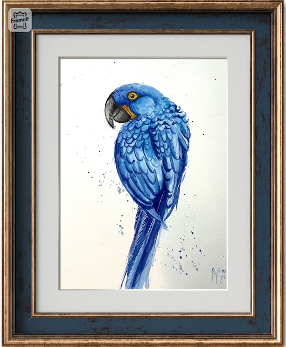 Stampa D'arte Con Cornice Wee Blue Coo – Pappagallo Con Schizzi Di Colore, 30x41 Cm, Legno, Prodotta In Scozia - 3