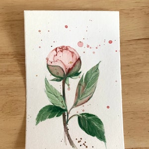 Pion Flowers Card Set 3 Origineel schilderij aquarel