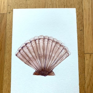 Juego de postales de conchas marinas Pintura original Acuarela 3