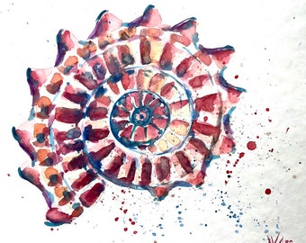 貝殻の絵画 2 - オリジナルの水彩画からのプリント、「ホタテ貝