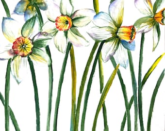 Pintura de acuarela de narcisos: arte floral primaveral para pared (25 x 25 cm)