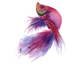 Fish Watercolor Art Print, High Quality PNG (Digital Download)