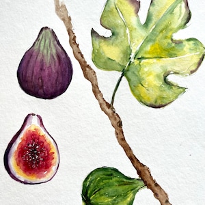 Original Figs Watercolor Painting: Botanical Kitchen Art (20x30 cm)