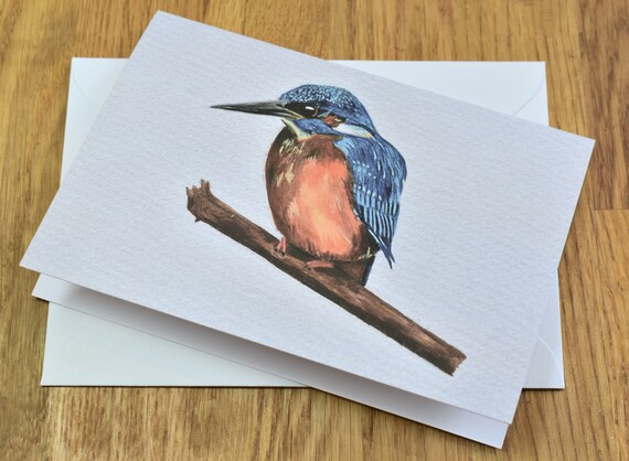 Kingfisher greetings cards