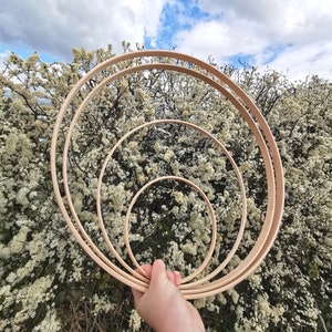 May include: Four wooden hoops of varying sizes, nested together. The hoops are light brown and have a smooth finish. The hoops are in front of a background of white flowering branches.