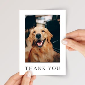 May include: A rectangular white card featuring a centered photograph of a golden-colored dog with its mouth open in a happy expression. Below the photograph, the text THANK YOU is printed in a clean, black, sans-serif capital font.