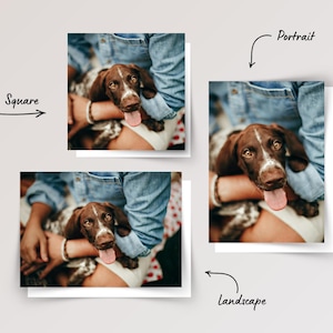 Custom Pet Photo Cards With Envelopes, Personalized Birthday Gift