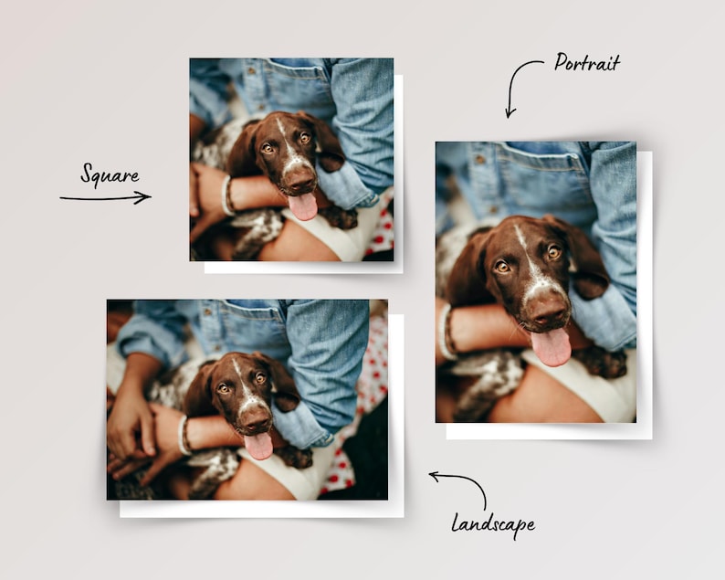 Custom Pet Photo Cards With Envelopes, Personalized Birthday Gift
