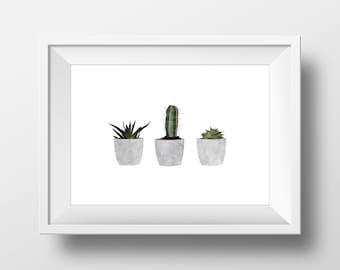 Succulents - A4 Art Print