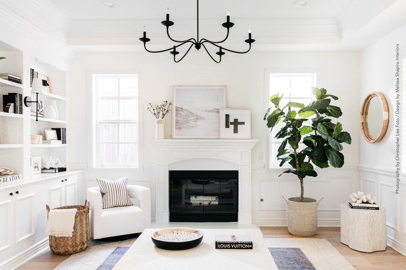 May include: A white living room with a fireplace, a white armchair, a large potted plant, and a white coffee table with a black bowl and a book that says "LOUIS VUITTON".
