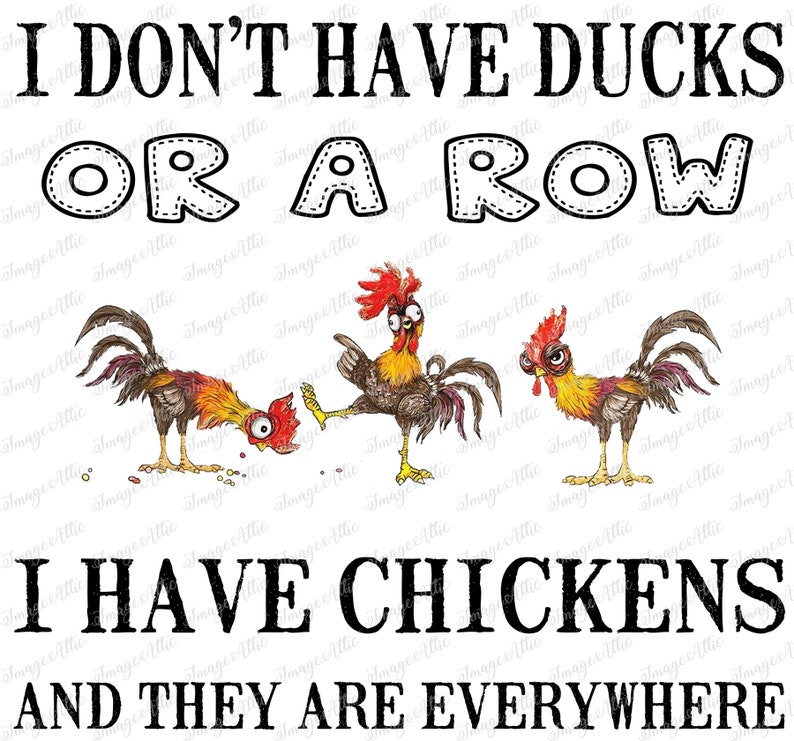 I Have Chickens and They Are Everywhere Waterslide Decal Clear READY TO