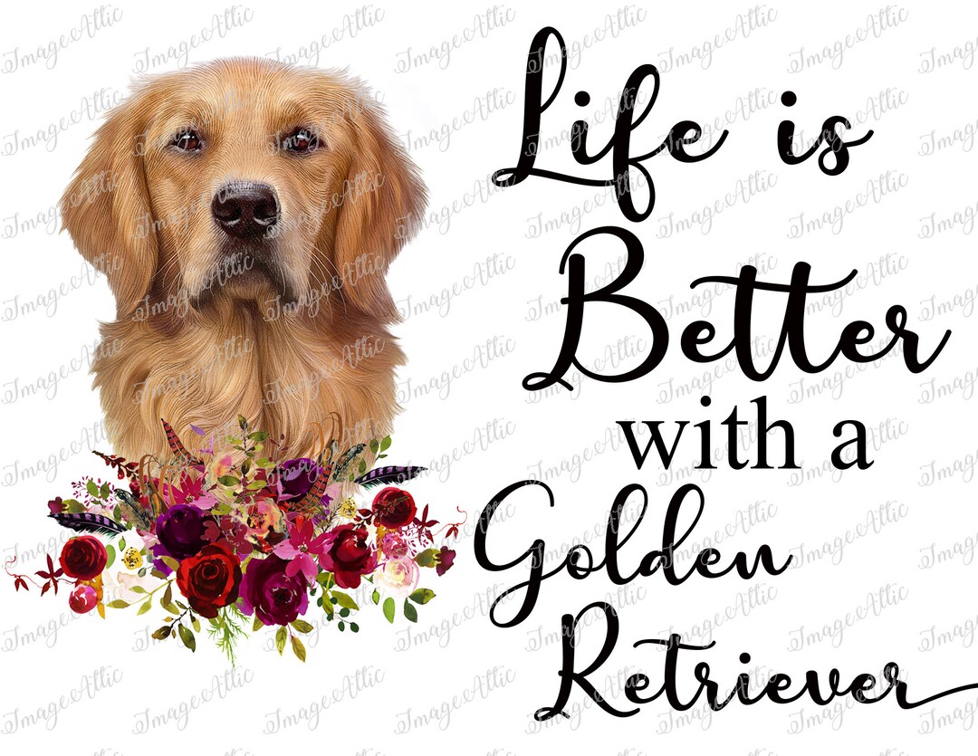 Life is Better With a Golden Retriever - Dog - Waterslide Decal - Clear ...