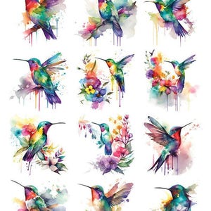 Colibríes coloridos - Elija entre transferencia para decoupage o calcomanía de transferencia al agua - 97112