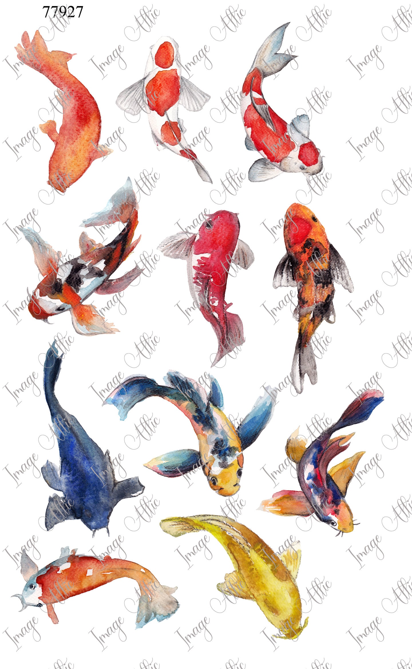 Watercolor Koi - Fish - Waterslide Decal - Clear - READY TO USE - Yetti ...