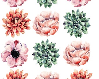 Calcomanía de tobogán acuático - Elija 2 tamaños diferentes - Claro - LISTO PARA USAR - Suculentas - 54711 W