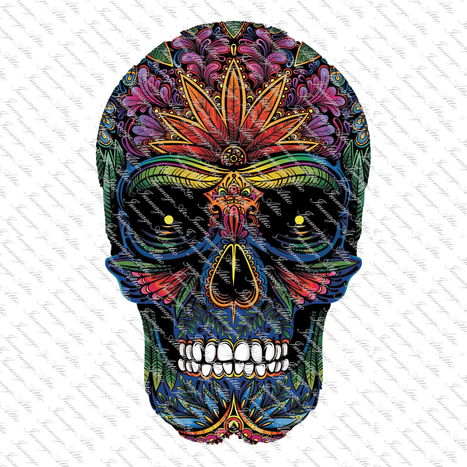 Sugar Skull Mardi Gras Waterslide Decal Clear READY | Etsy