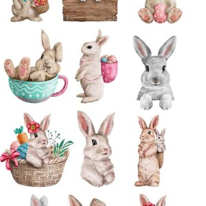 May include: A collection of twelve watercolor illustrations featuring rabbits in various poses, some holding baskets with carrots and eggs, others sitting in teacups or baskets, and one behind a wooden sign labeled 98117, all in soft natural tones.