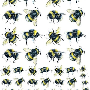 May include: A collection of bumblebee illustrations arranged in a grid pattern. The bees feature black and yellow striped bodies, translucent wings, and thin black legs. The illustrations vary in size, ranging from large to small, all depicted.