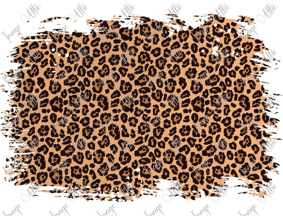 Leopard Skin 3 Sizes Waterslide Decal Clear READY TO | Etsy