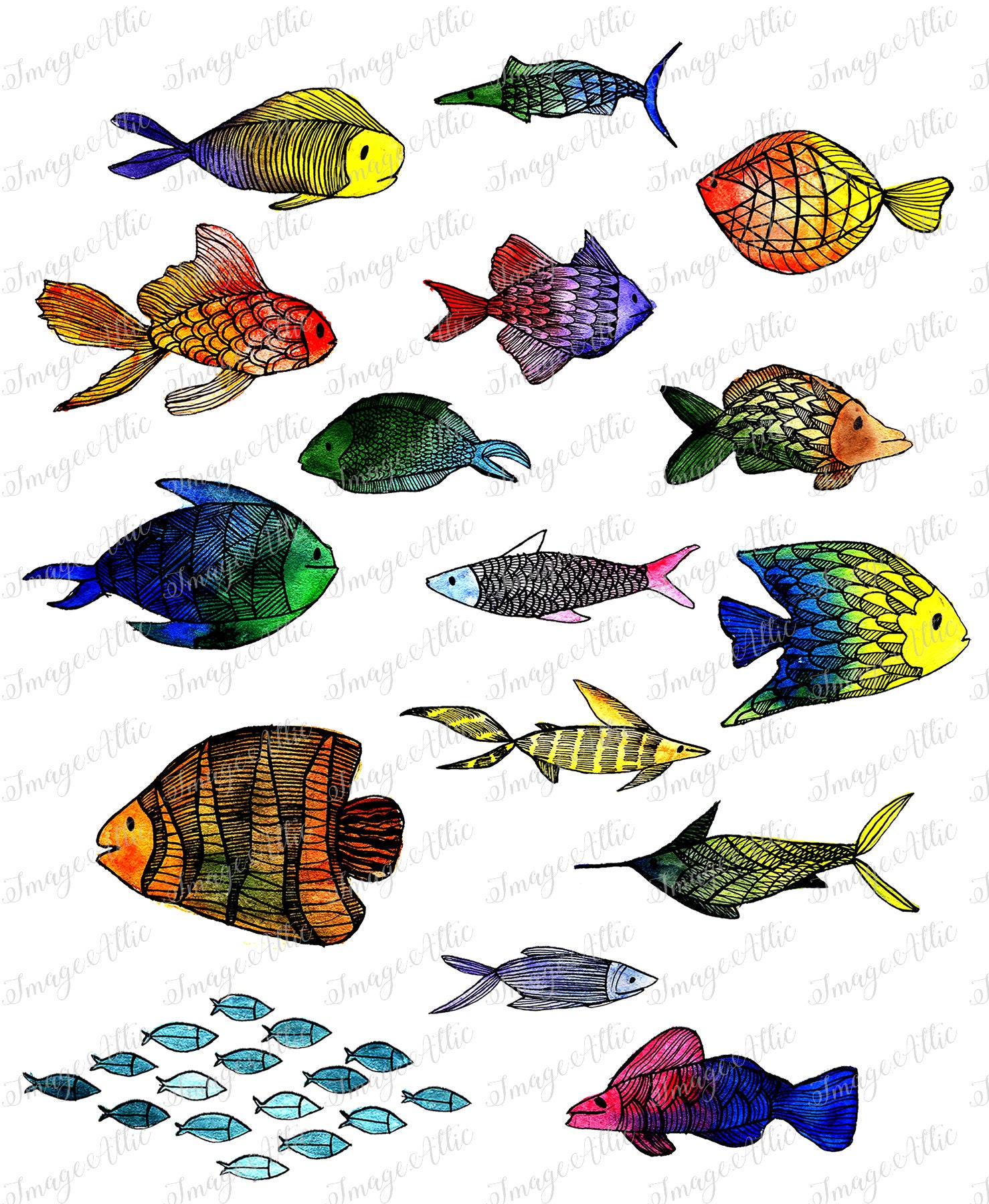 Colorful Fish - Yetti Supply - Waterslide Decal - Clear - READY TO USE ...
