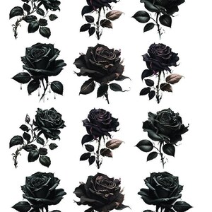 Könnte beinhalten: Eine Sammlung von zwölf einzelnen Illustrationen schwarzer Rosen, die in einem Raster angeordnet sind, jeweils mit detaillierten Blütenblättern, dornigen Stielen und dunkelgrünen Blättern. Die Zahl 18892 ist oben links aufgedruckt.