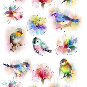 Watercolor Birds and Flowers - Waterslide Decal - Clear - READY TO USE - 89951 W