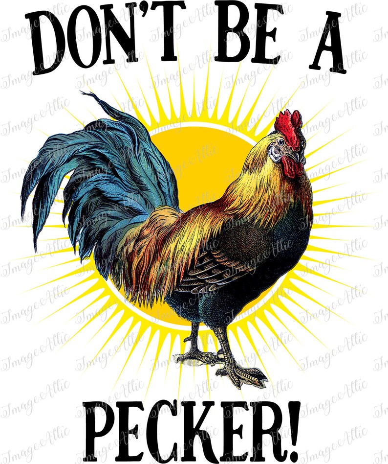 Don't Be A Pecker Chicken Rooster Waterslide Decal Clear READY TO USE