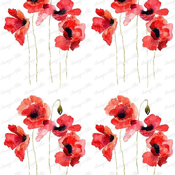 Tales of the Poppies- Poppy Flower - 2 Sizes - Waterslide Decal - Clear - READY TO USE - 41511 W