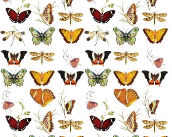 Waterslide Decal - Clear - READY TO USE - Butterflies iand Dragonflies - Full Sheet 8" x 10" - W70003