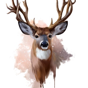 Gorgeous Deer -  Waterslide Decal - Clear - READY TO USE-  Yetti Decal - 88796 W