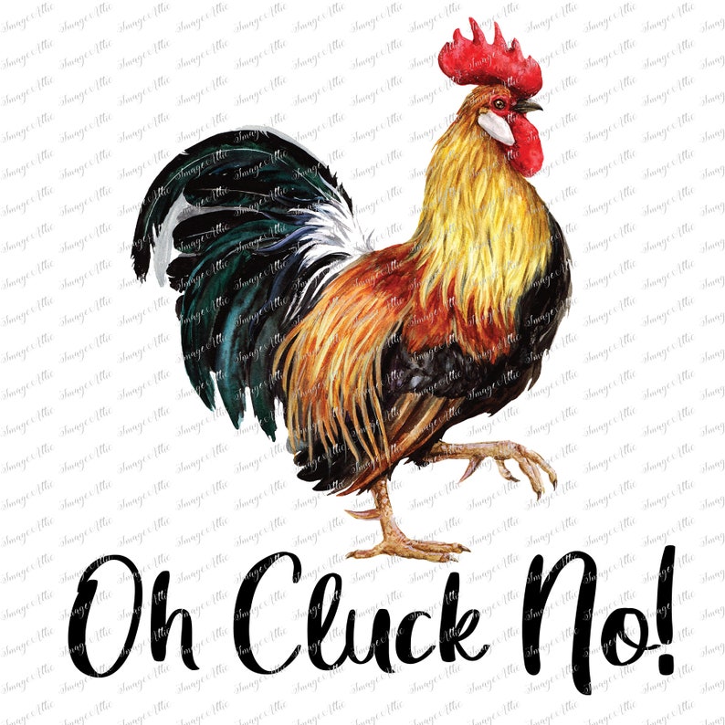 May include: A watercolor painting of a rooster with a red comb and wattle. The rooster is standing on a white background with the text "Oh Cluck No!" written in black below it.