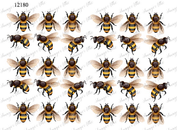 Yellow Honey Bubble Bees Waterslide Decal Clear READY TO - Etsy Singapore Yellow Honey Bubble Bees Waterslide Decal Clear READY TO - Etsy Singapore