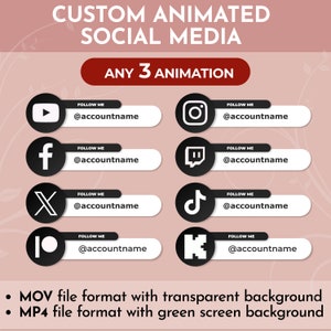 Custom Animated Social Media Lower Thirds for Youtube Intro Videos | Instagram Twitter Twitch Tiktok Lower Thirds