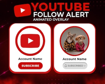 Custom Animated YouTube Subscribe Button Overlay (MOV, MP4)
