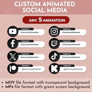 Custom Animated Social Media Lower Thirds for Youtube Intro Videos | Instagram Twitter Twitch Tiktok Lower Thirds
