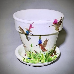 May include: White ceramic planter with a saucer, featuring a hummingbird design. The planter has a white background with colorful hummingbirds and green grass.
