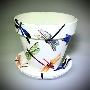 Darling Dragonfly Pot