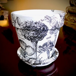 Pode incluir: Vaso de cerâmica branco com estampa botânica em preto e branco com flores e folhas. O vaso tem um pires e o texto "L. Rosa" e "XVIII" são visíveis no vaso.