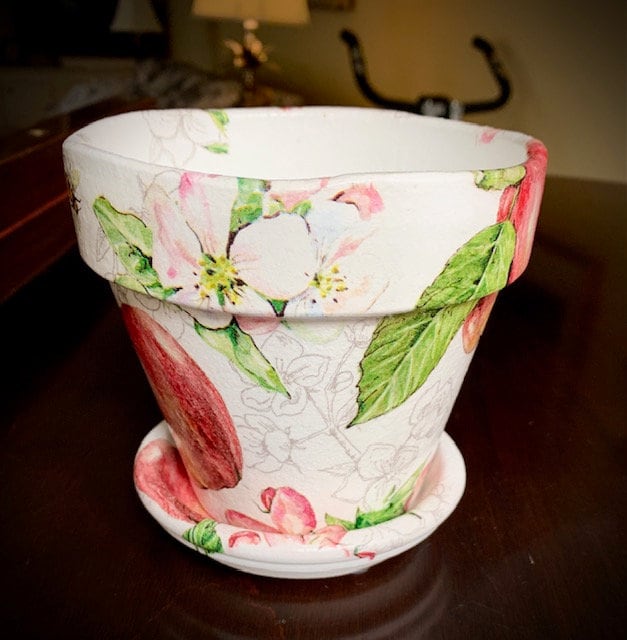 Blooming Apple Flower Pot Etsy Australia