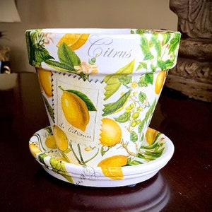 Gorgeous Lemon 6&quot; Flower Pot