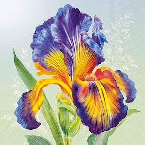 Decoupage napkins 6.5&quot;  (2pcs)- Iris