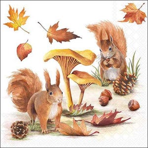 Op de afbeelding: Waterverfillustratie met twee eekhoorns, paddenstoelen, herfstbladeren, dennenappels en noten. De eekhoorns zijn bruin met witte buikjes, de bladeren zijn oranje en bruin. De paddenstoelen hebben gele doppen.