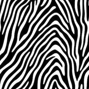 May include: A seamless pattern featuring a bold zebra stripe design. The pattern consists of black and white stripes, creating a high-contrast, visually striking effect. The stripes are irregular and curved, mimicking the natural pattern of a zebra's coat.