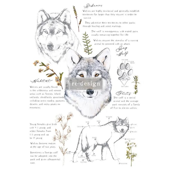 Redesign avec mini transfert de décoration Prima « Animal