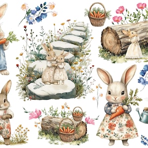 Può includere: Una collezione di illustrazioni ad acquerello raffiguranti conigli in varie pose, che indossano salopette e abiti floreali, tengono carote, usano annaffiatoi, vicino a gradini in pietra, tronchi e cesti di carote, con il testo WTP-380.