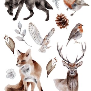 May include: Watercolour illustrations of woodland animals, including a wolf, fox, deer, owl, and robins. The illustrations are in shades of brown, grey, and white, and are set against a white background.