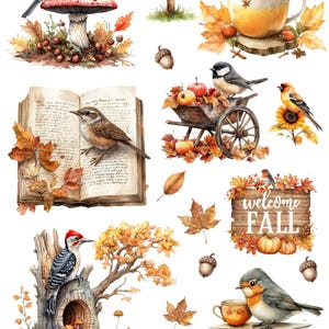 May include: A collection of autumn-themed illustrations featuring various birds, mushrooms, books, and wooden signs with the text Welcome Fall. The images include a bird on a mushroom, a bird on a mug, a bird on an open book, a bird on a wheelbarrow, and a bird on a tree stump.